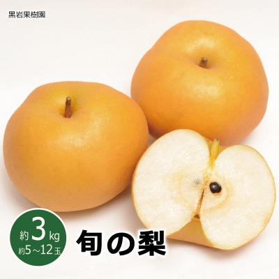 【2026年発送】旬の梨 約3kg (約5～12玉) 品種おまかせ《黒岩果樹園》