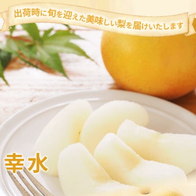 【2026年発送】旬の梨 約3kg (約5～12玉) 品種おまかせ《黒岩果樹園》