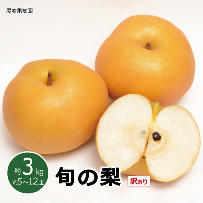 【2026年発送】※訳あり※ 旬の梨 約3kg (約5～12玉)品種おまかせ《黒岩果樹園》