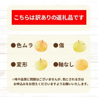 【2026年発送】※訳あり※ 旬の梨 約3kg (約5～12玉)品種おまかせ《黒岩果樹園》
