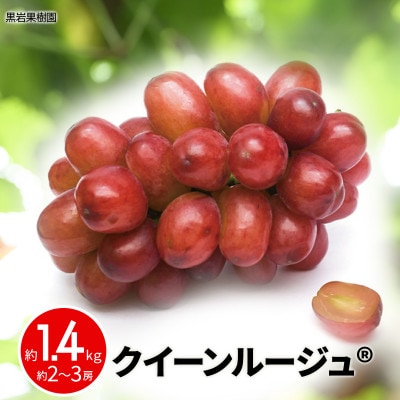 【2026年発送】クイーンルージュ(R)  約1.4kg (約2～3房)《黒岩果樹園》