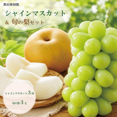 【2026年発送】ぶどうと梨のセット(シャインマスカット3房・旬の梨3玉)《黒岩果樹園》
