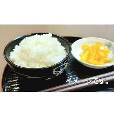 長野県須坂市産コシヒカリ精米 計10kg