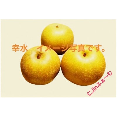 【さとふる限定】幸水梨 良品7～11個(計3kg以上)長野県須坂市産