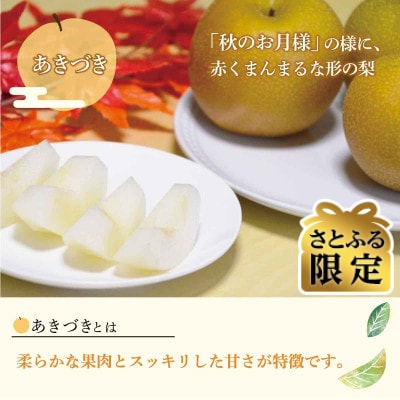 【さとふる限定】あきづき梨 良品7～11個(計3kg以上)