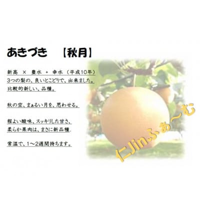【さとふる限定】あきづき梨 良品7～11個(計3kg以上)