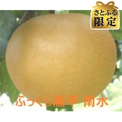 【さとふる限定】南水梨 良品7～11個3kg以上