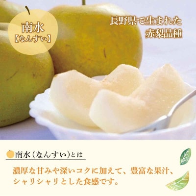 【さとふる限定】南水梨 良品7～11個3kg以上