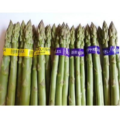 【信州須坂・峯村農園直送】朝採れ新鮮!アスパラガス　逸品A級品　約1.0kg(M～2Lサイズ)
