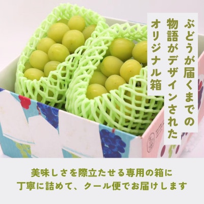 シャインマスカット約2kg(4～6房)