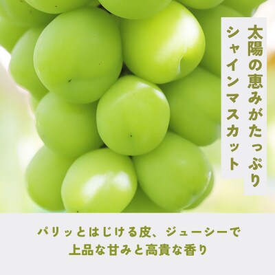 シャインマスカット約2kg(4～6房)