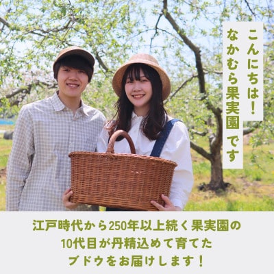 シャインマスカット約2kg(4～6房)