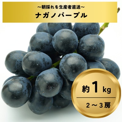 ナガノパープル約1kg(2～3房)