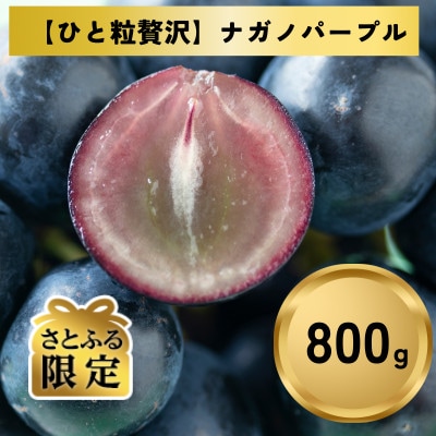 【さとふる限定】【ひとくち贅沢】ナガノパープル(粒)約800g