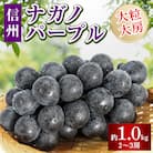ナガノパープル　皮ごと旨い!大粒大房　約1kg(2～3房)