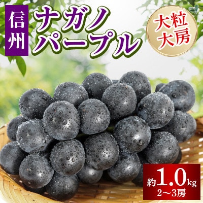 ナガノパープル　皮ごと旨い!大粒大房　約1kg(2～3房)