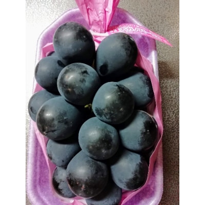 ナガノパープル　皮ごと旨い!大粒大房　約1kg(2～3房)