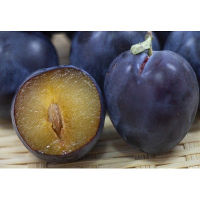 生食用プルーン　約1.2kg(400g×3パック)【沖縄・離島・北海道配送不可】