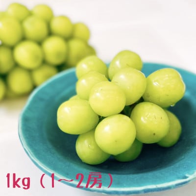 シャインマスカット 約1kg(1～2房) 長野県産【2026年発送】田子農園