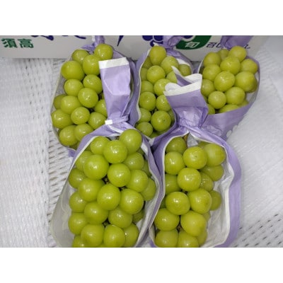 シャインマスカット 約3kg(4～6房) 長野県産【2026年発送】田子農園