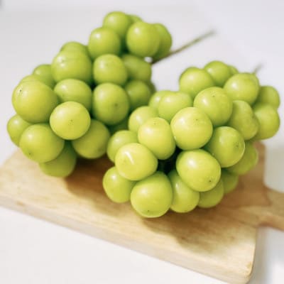 シャインマスカット 約3kg(4～6房) 長野県産【2026年発送】田子農園