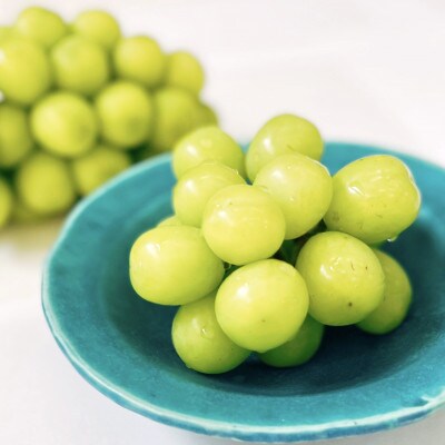 大粒シャインマスカット約800g パック詰め(約400g×2パック)長野県産【2026年発送】