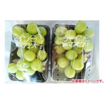 大粒シャインマスカット約1.6kg パック詰め(約400g×4パック)長野県産【2026年発送】