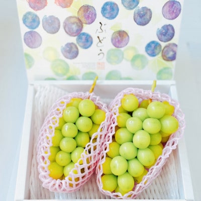 ご褒美シャインマスカット　約800g×2房　長野県産【2026年発送】田子農園