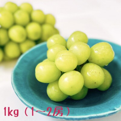 冬のシャインマスカット約1kg(1～2房) 長野県産 ※2026年11月上旬～12月下旬発送