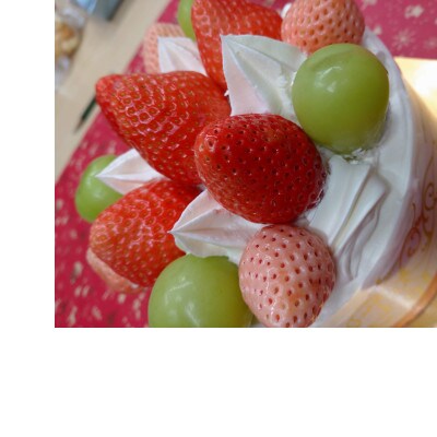 冬のシャインマスカット約1kg(1～2房) 長野県産 ※2026年11月上旬～12月下旬発送