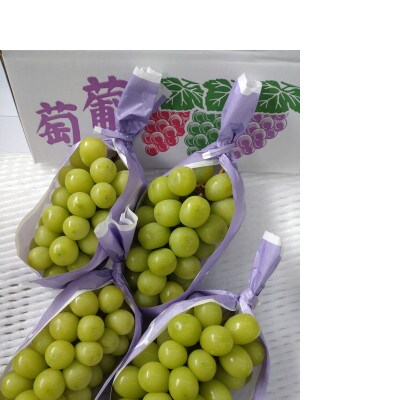 冬のシャインマスカット約2kg(3～4房) 長野県産 ※2026年11月上旬～12月下旬発送