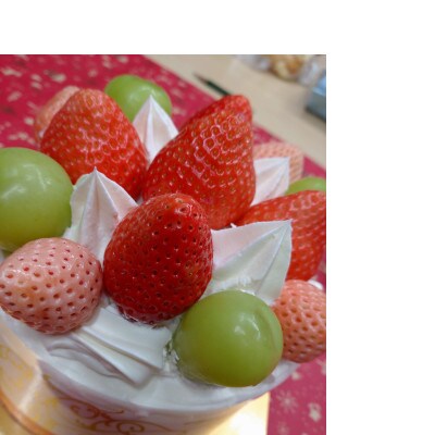 冬のシャインマスカット約2kg(3～4房) 長野県産 ※2026年11月上旬～12月下旬発送