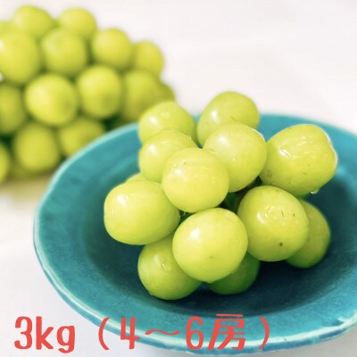 冬のシャインマスカット約3kg(4～6房) 長野県産 ※2026年11月上旬～12月下旬発送