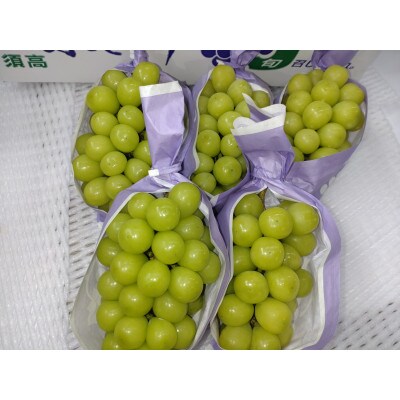 冬のシャインマスカット約3kg(4～6房) 長野県産 ※2026年11月上旬～12月下旬発送