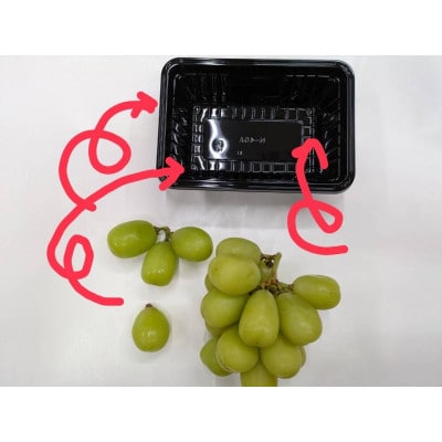 冬の大粒シャインマスカット約800g パック詰め(約400g×2パック)長野県産【2026年発送】