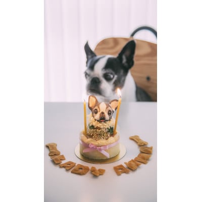 ちいさな蜜蝋蝋燭　10本×1セット