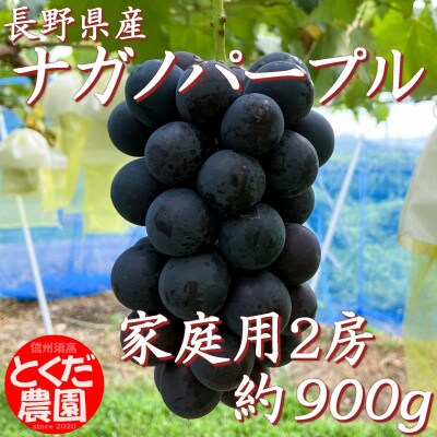 ナガノパープル家庭用2房(約900g)