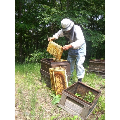 【さとふる限定】アカシアはちみつ(大)×3本|subako|長野県産|無添加|非加熱