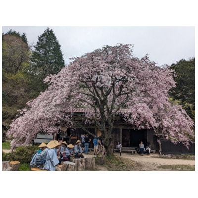 街道浪漫めぐりチケット2枚セット|中山道木曽路を歩く体験型宿泊(1泊3食)|街道浪漫 おん宿蔦屋