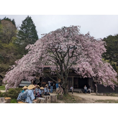 街道浪漫めぐりチケット6枚セット|中山道木曽路を歩く体験型宿泊(1泊3食)|街道浪漫 おん宿蔦屋