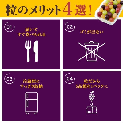 【2026年発送 先行受付】種なしぶどう 5品種詰め合わせ 1kg