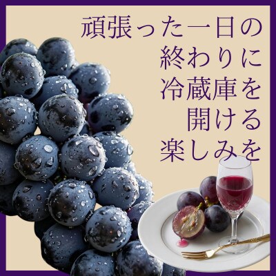 【2026年発送 先行受付】ブラックビート 約2kg 3～5房 希少品種 種なし大粒ぶどう