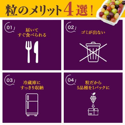 【2026年発送】種なしぶどう 5品種詰め合わせ 500g