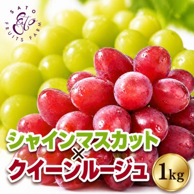 【2026年発送】シャインマスカット&クイーンルージュ(R) 2房　計約1kg