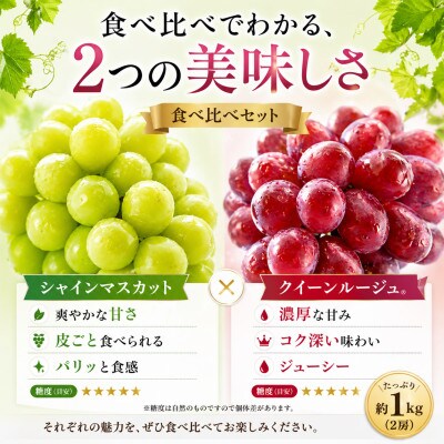 【2026年発送】シャインマスカット&クイーンルージュ(R) 2房　計約1kg