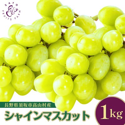 【2026年発送】長野県産 シャインマスカット 約1kg 2～3房