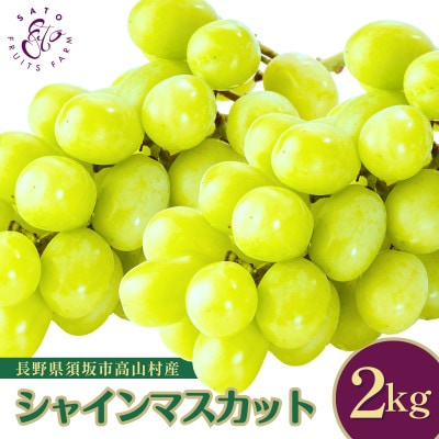 【2026年発送】長野県産 シャインマスカット 約2kg 3～5房