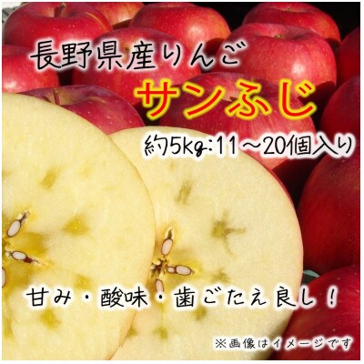 令和8年産【特秀品】サンふじ 約5kg(11～20個) 長野県産りんご