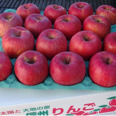 令和8年産【特秀品】サンふじ 約5kg(11～20個) 長野県産りんご