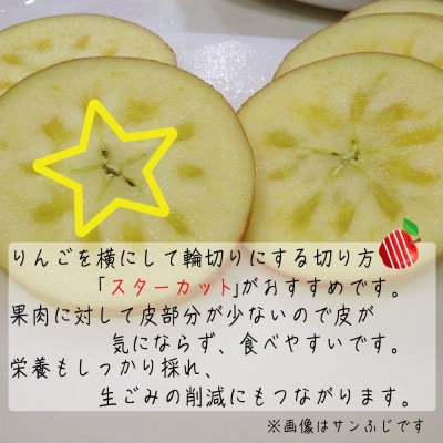 令和8年産【特秀品】サンふじ 約5kg(11～20個) 長野県産りんご